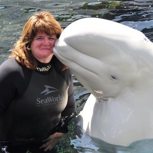 Meet your Posher, Leesa